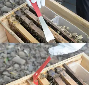Essential Beekeeping Equipment