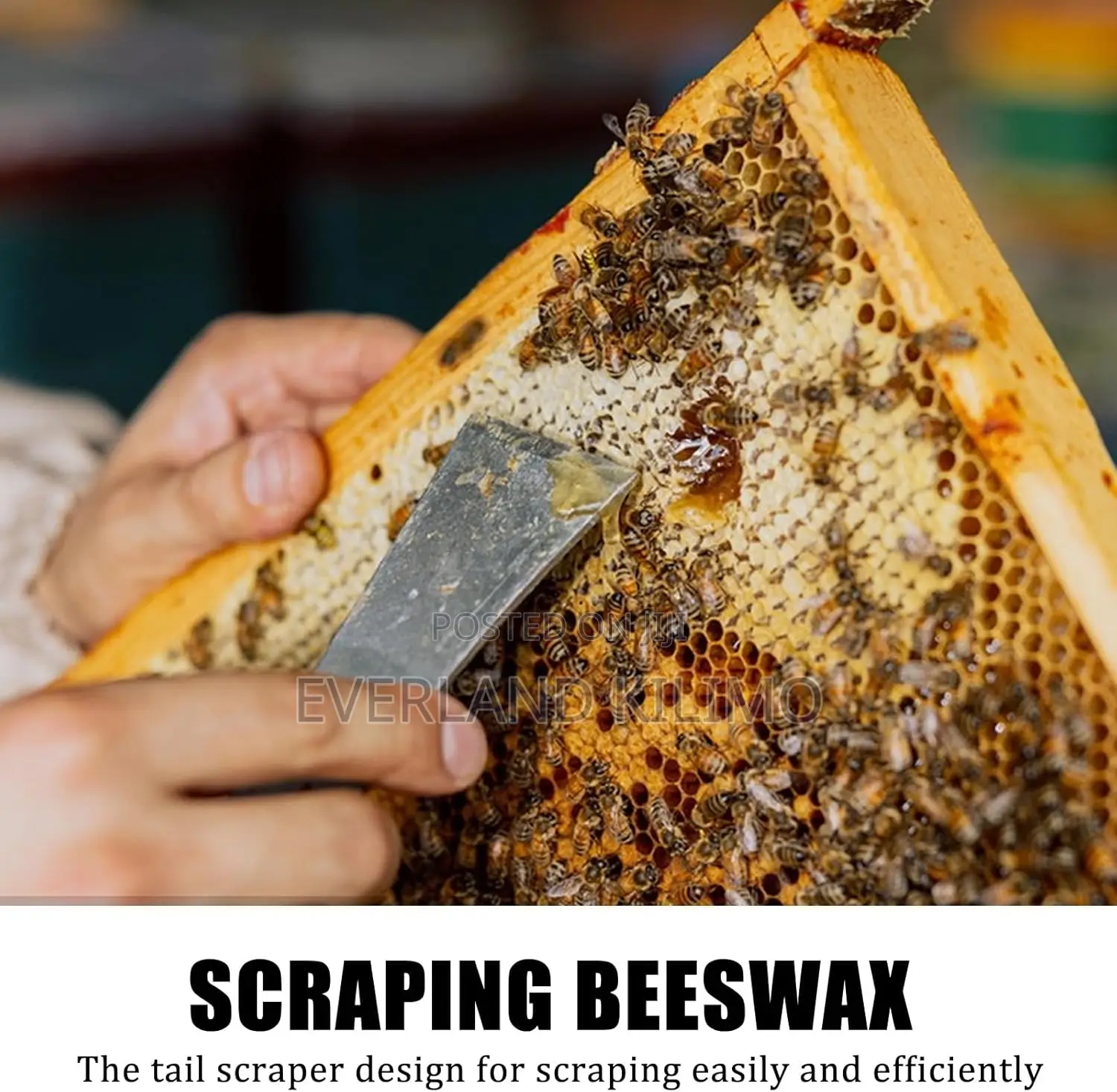 Lifting Frames and Scraping Bee Hives