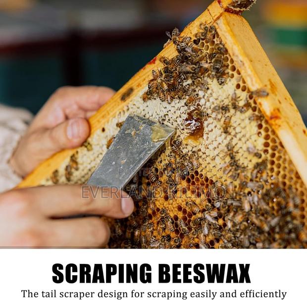 Lifting Frames and Scraping Bee Hives