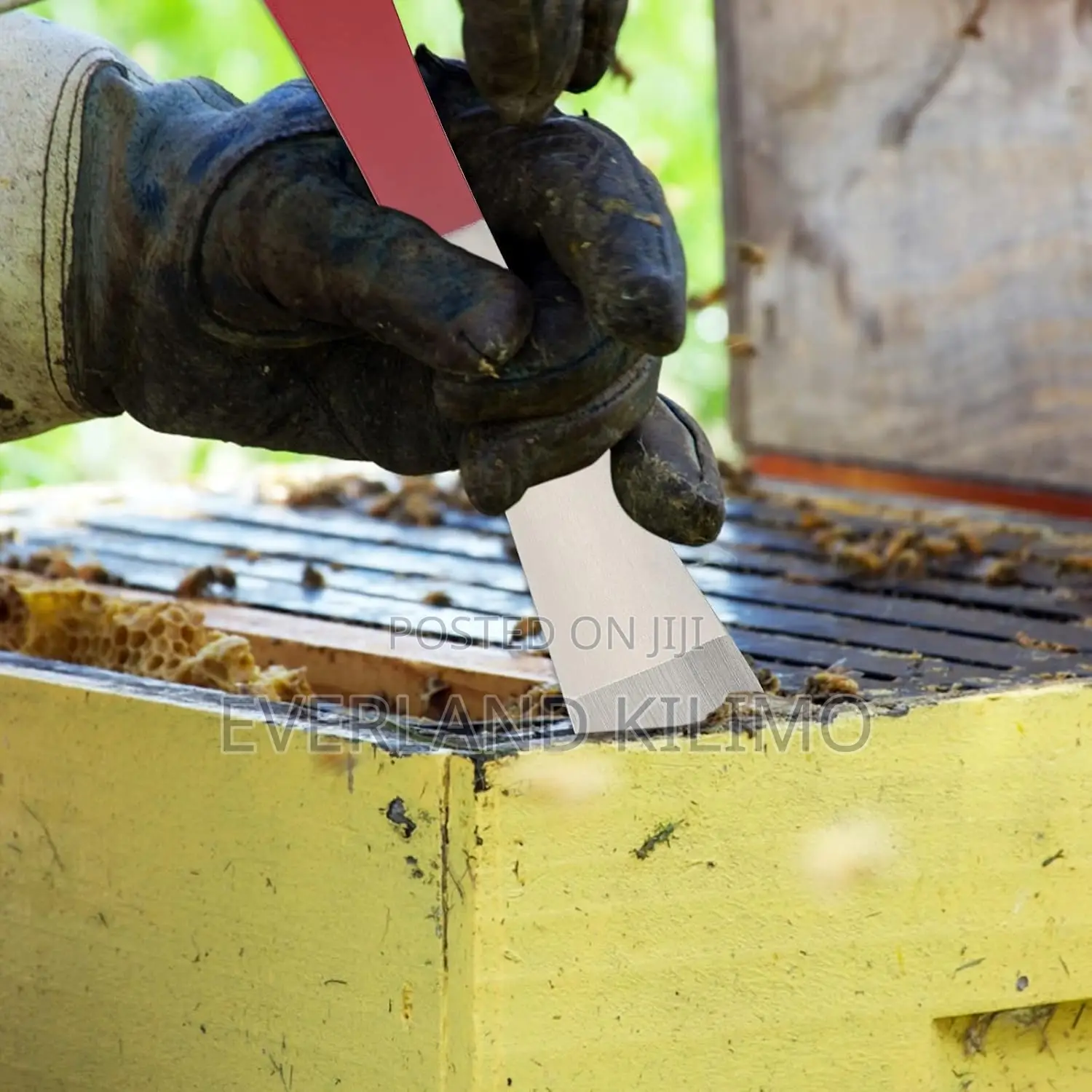 Bee Hive Frame Lifter and Scraper