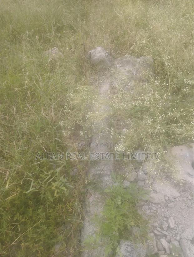 Utawala 100 by 100 Plot - thumbnail 13