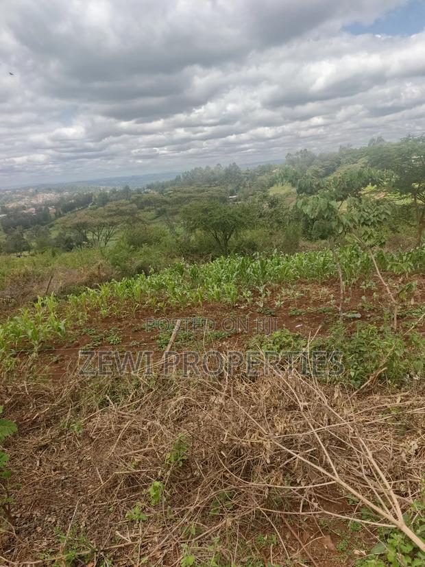 1/8 Acre Olesurutia - thumbnail 2