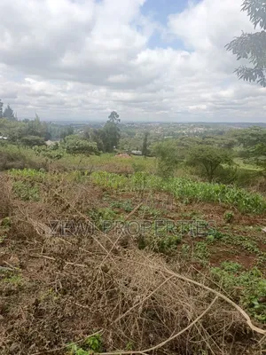 1/8 Acre Olesurutia