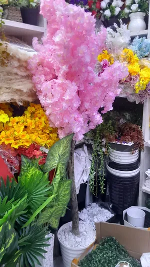 Pink Blossom Tree and Plant