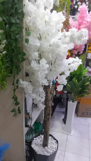 Beautiful White Blossom Tree