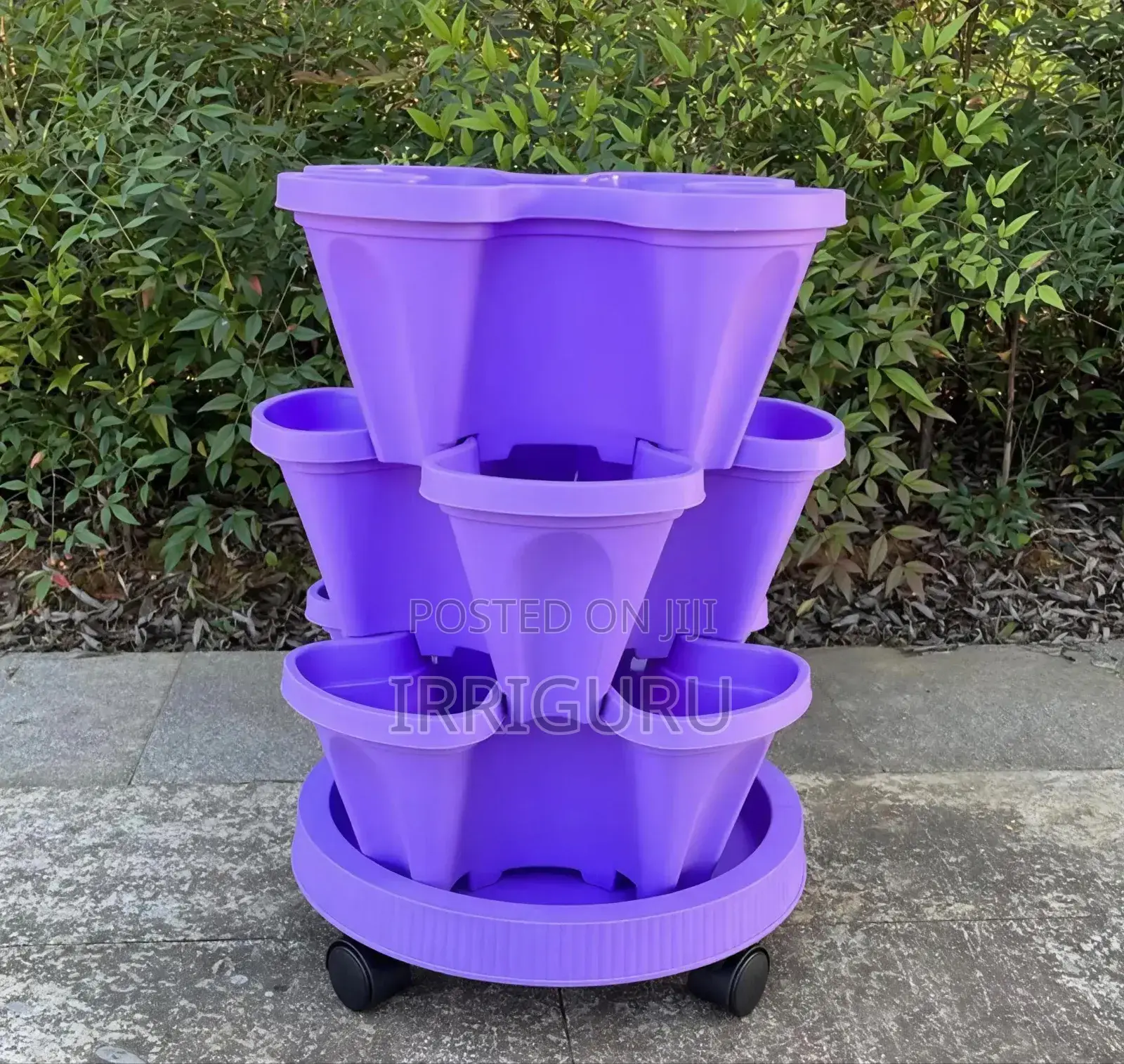 Purple Home Planters