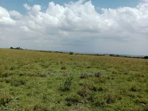 40 Acres Land for Sale in Kiserian