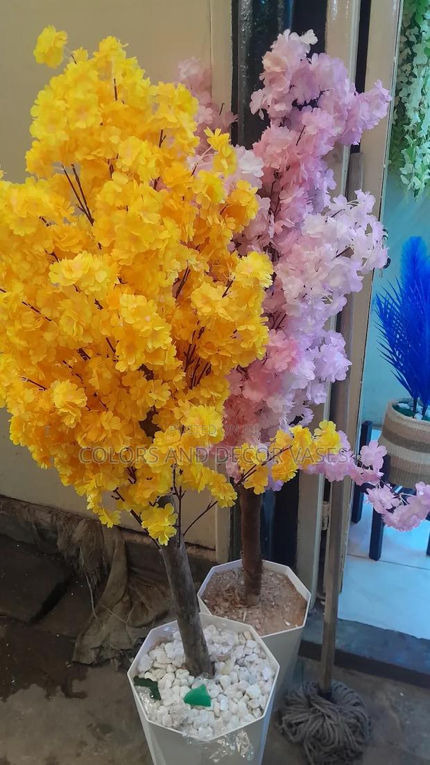 Yellow and Pink Trees Blossom - main view