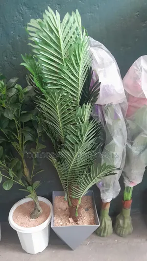 Palm Tree Plus Vase 1.2m Big Trunk