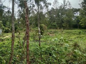 Land Measures One Acre - thumbnail 2