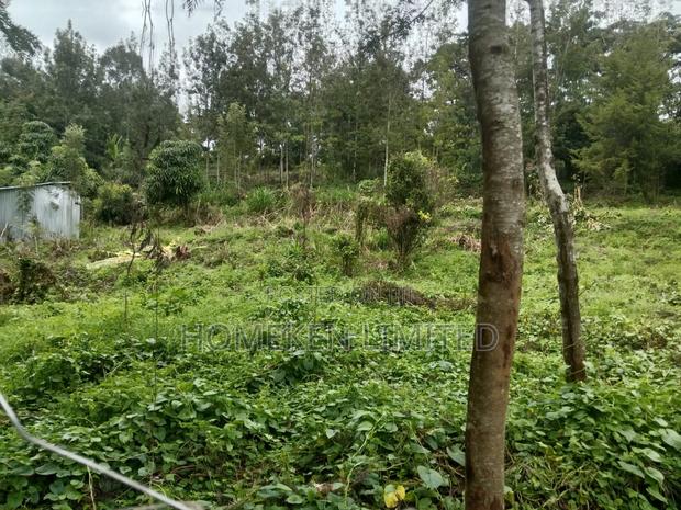 Land Measures One Acre - thumbnail 3