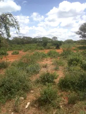 63 Acres of Virgin Land Are Available for Sale in Makindu