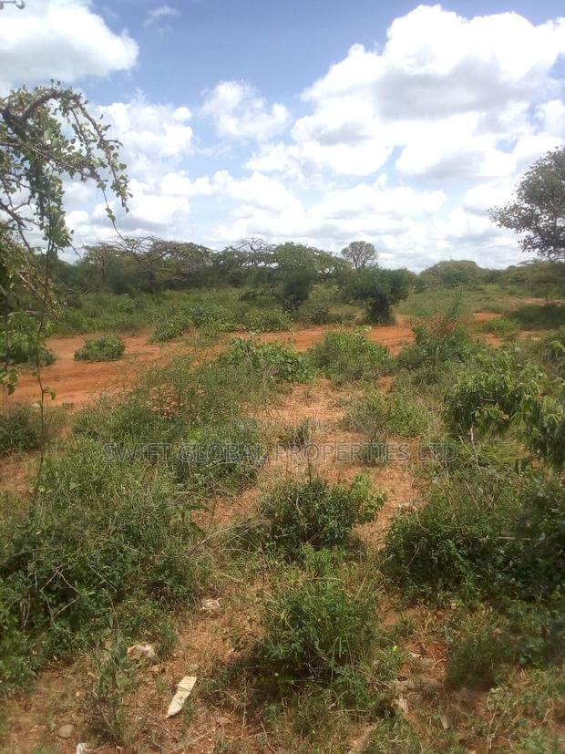 63 Acres of Virgin Land Are Available for Sale in Makindu