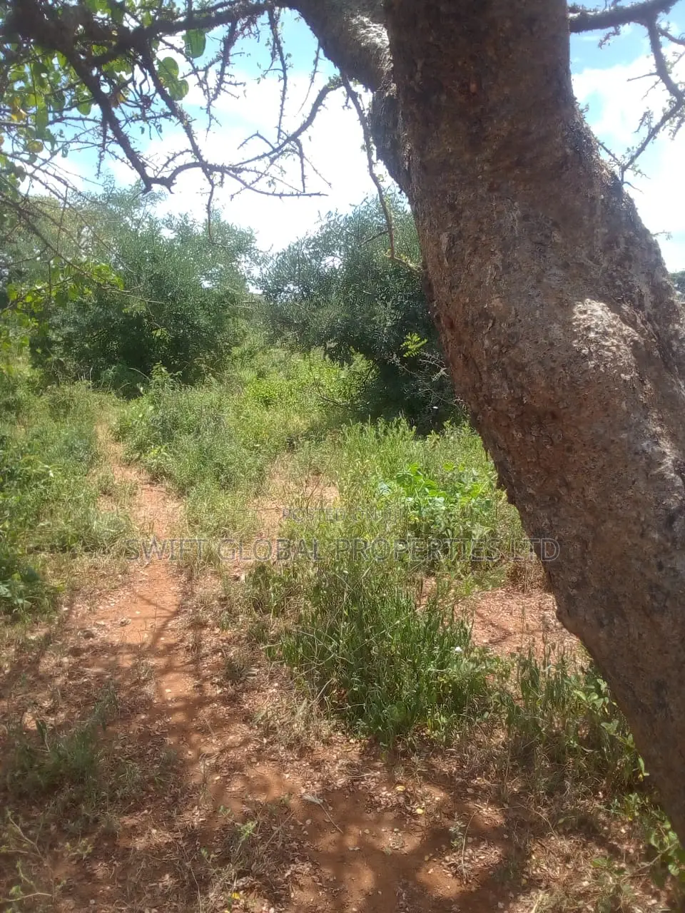 63 Acres of Virgin Land Are Available for Sale in Makindu