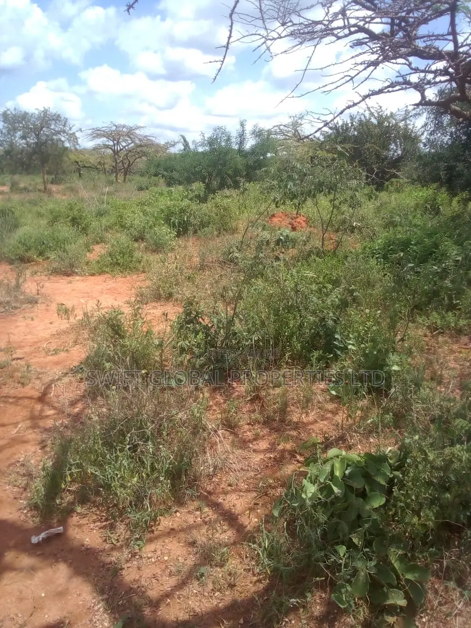 63 Acres of Virgin Land Are Available for Sale in Makindu