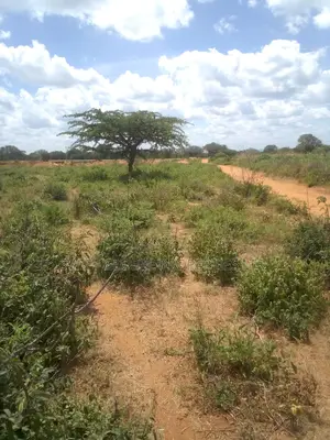 63 Acres of Virgin Land Are Available for Sale in Makindu