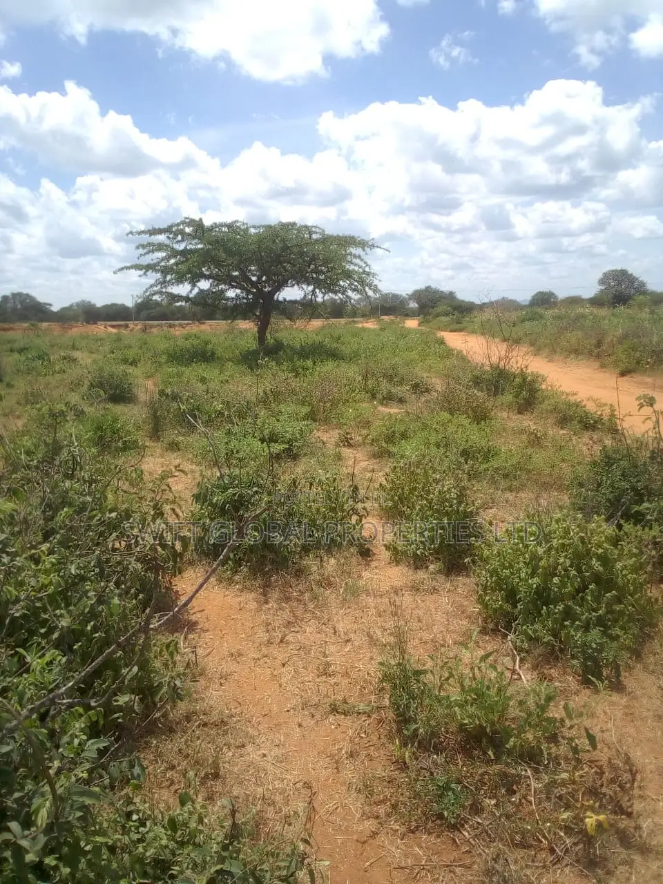 63 Acres of Virgin Land Are Available for Sale in Makindu