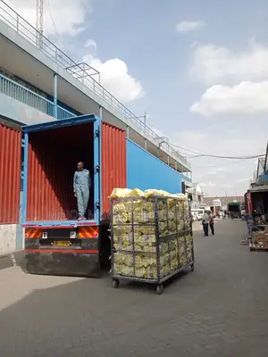 Box Body Trailers Available for Transport.