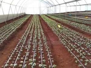 Open Irrigation System