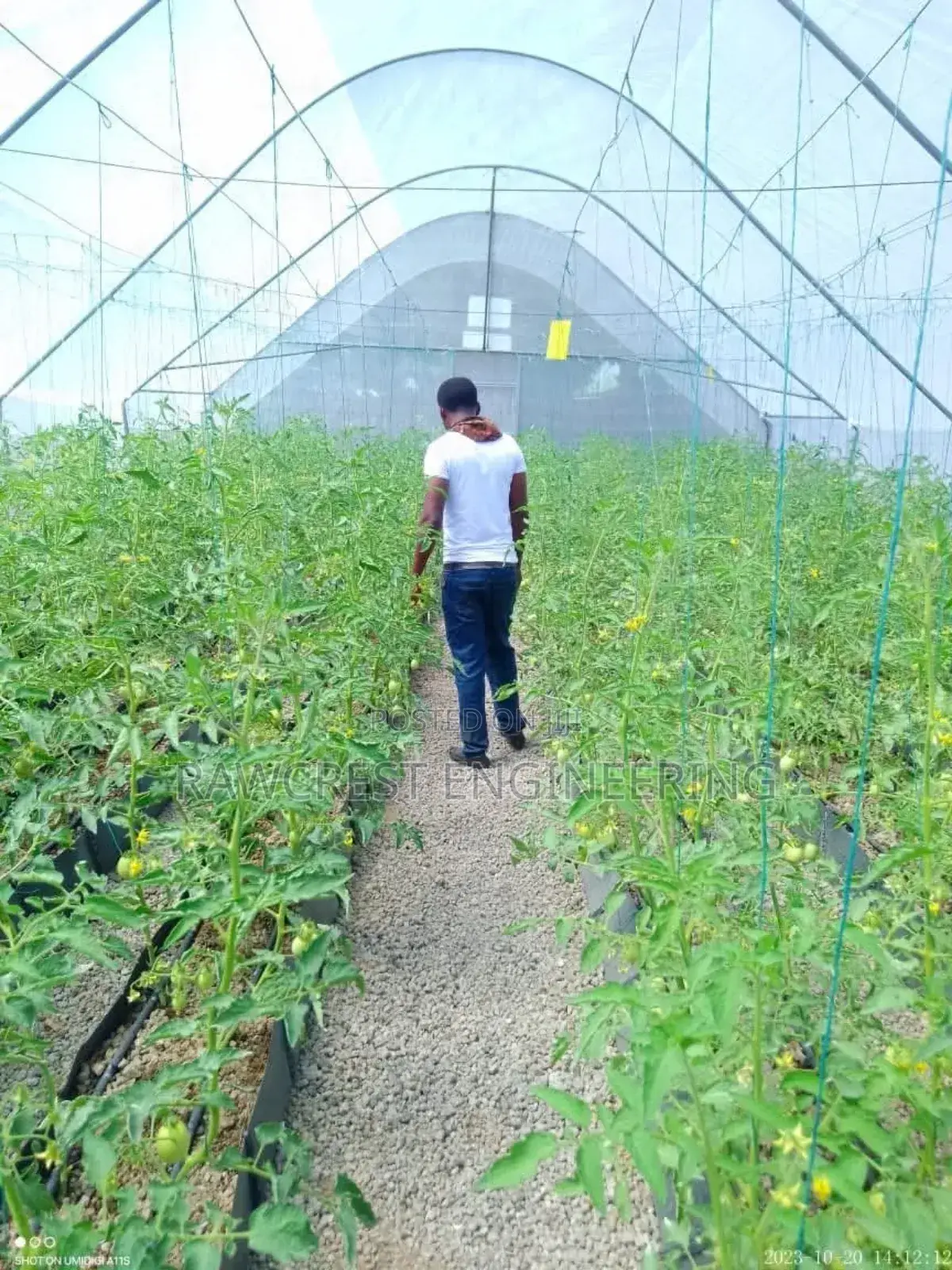 Greenhouse Construction