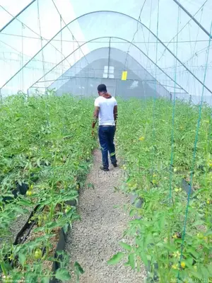 Greenhouse Construction