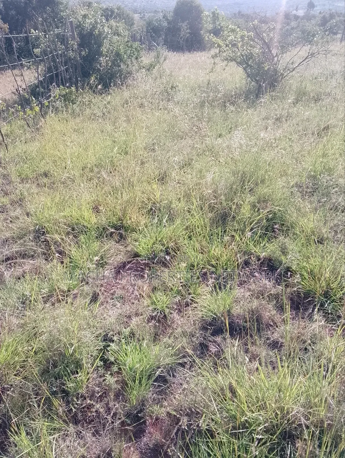 Mua Hills 1,2 or 3 Acres Price 5.5m