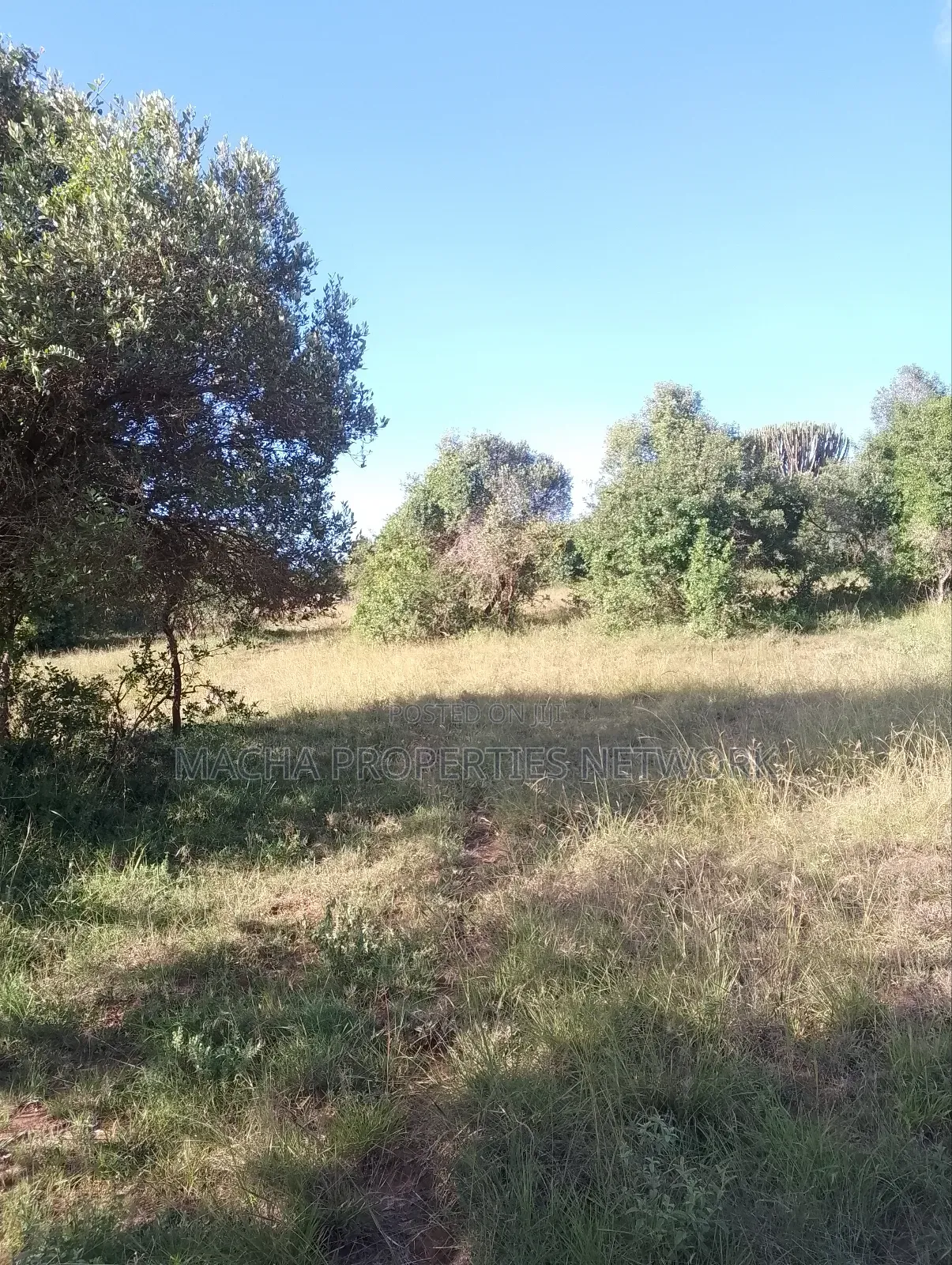 Mua Hills 1,2 or 3 Acres Price 5.5m