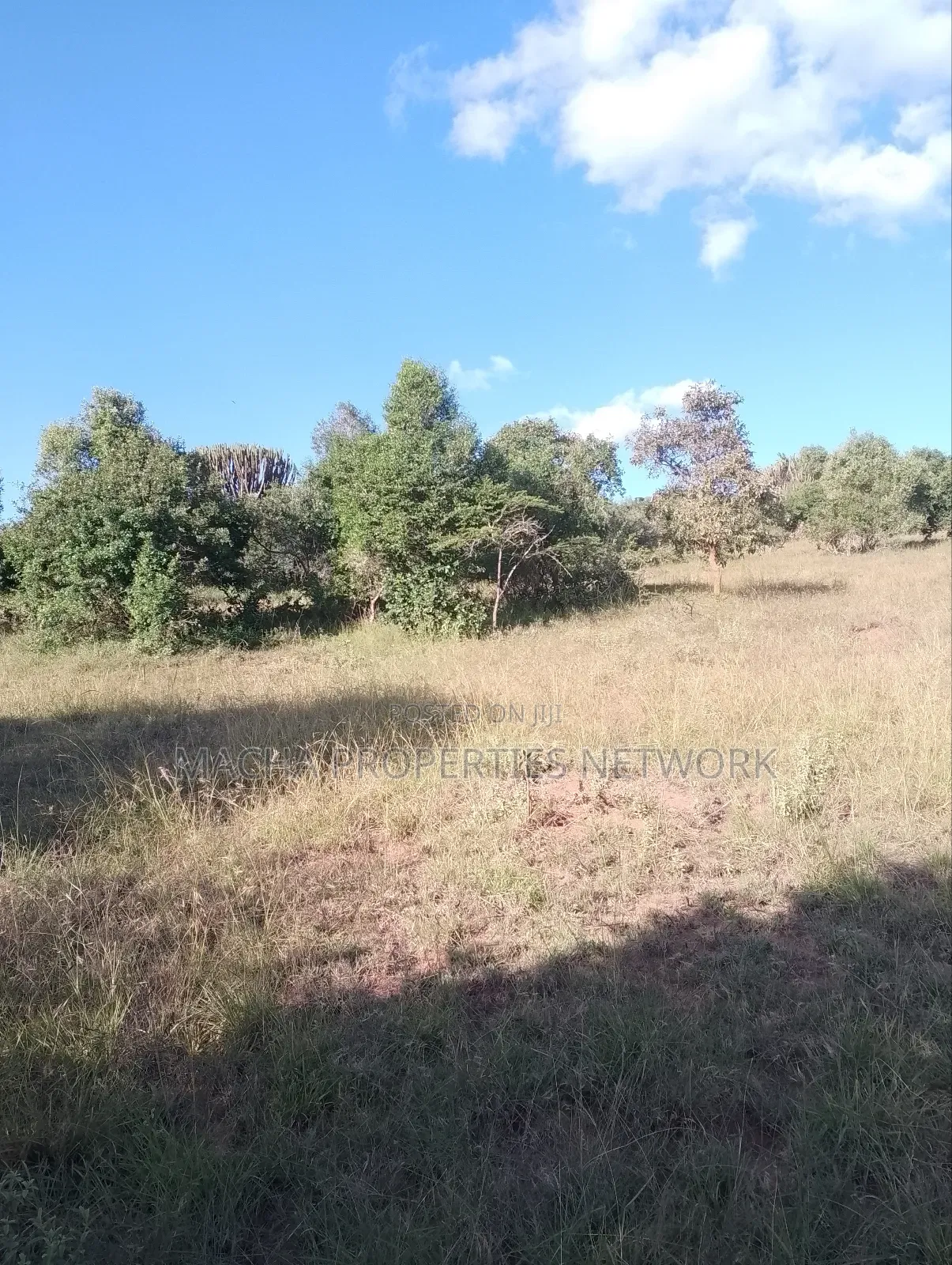 Mua Hills 1,2 or 3 Acres Price 5.5m