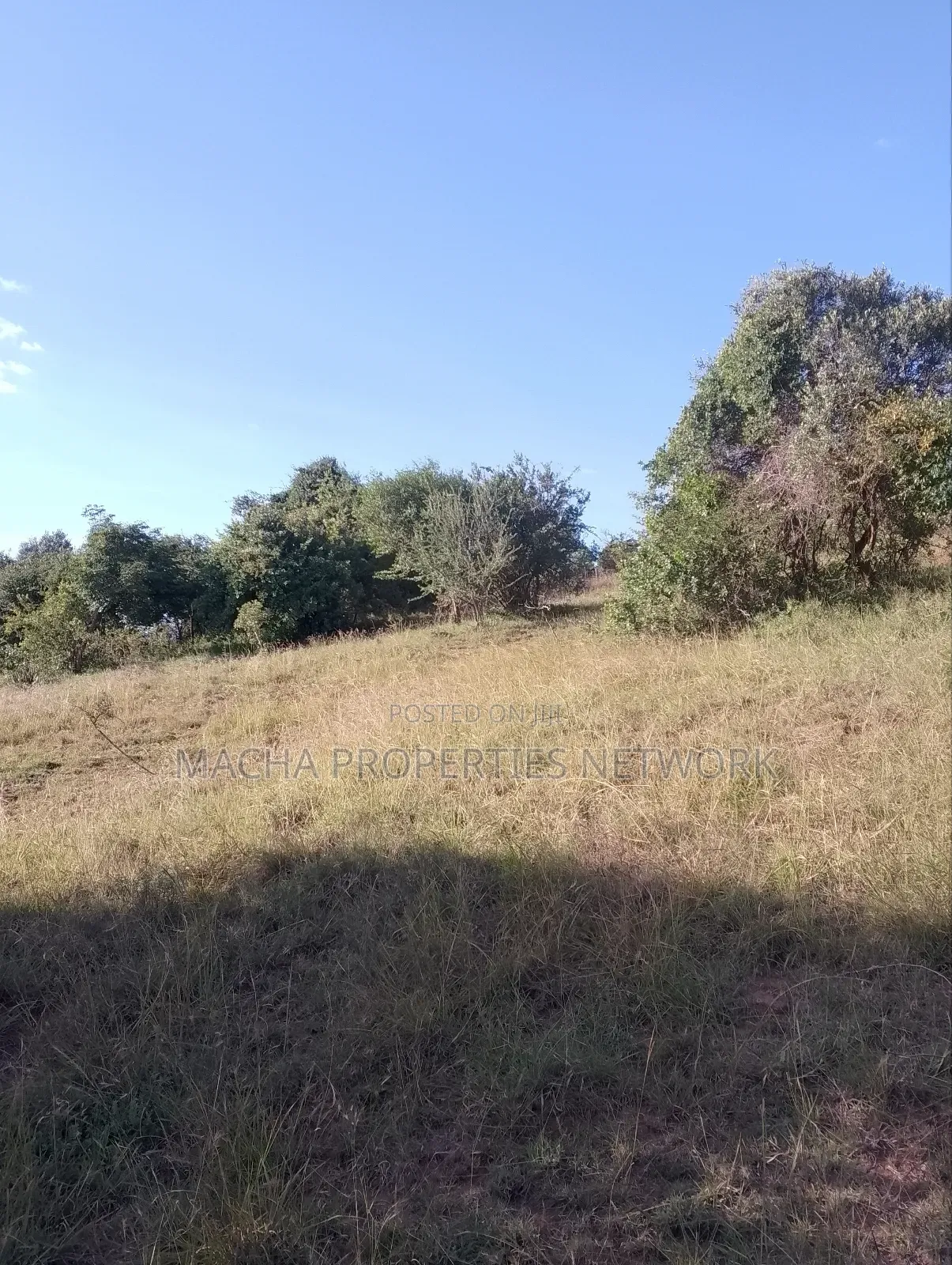 Mua Hills 1,2 or 3 Acres Price 5.5m