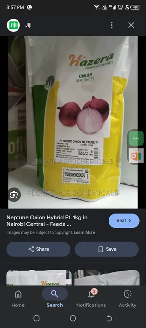 Neptune Onion Hybrid F1. 1kg