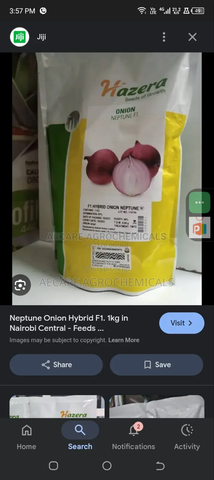 Neptune Onion Hybrid F1. 1kg