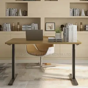 Standing Desk: Executives Luxury Electric Office Desk-1200mm