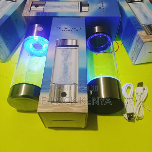 Spe Standard Hydrogen Generating Cup