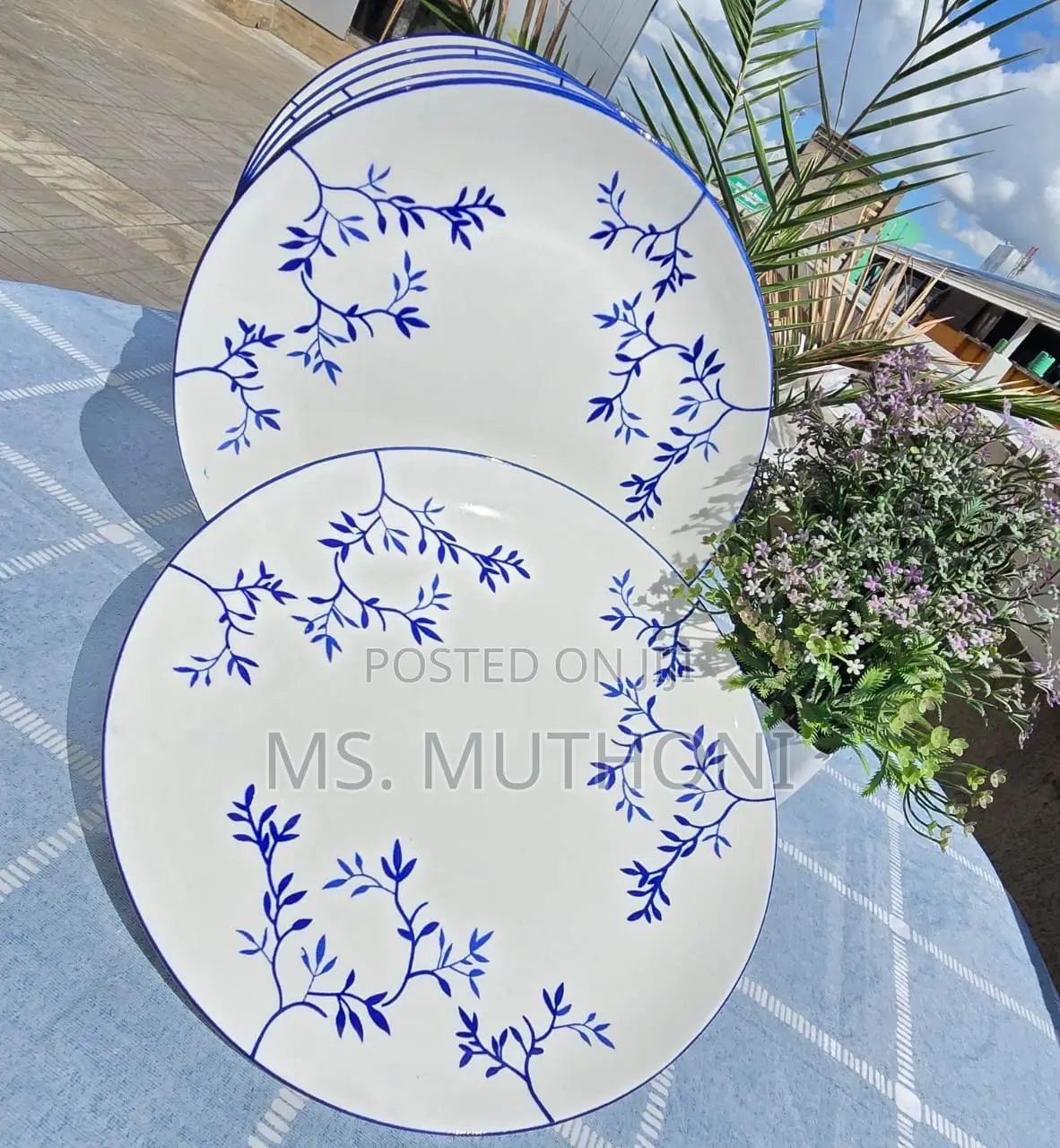 *6pcs Big Plate*