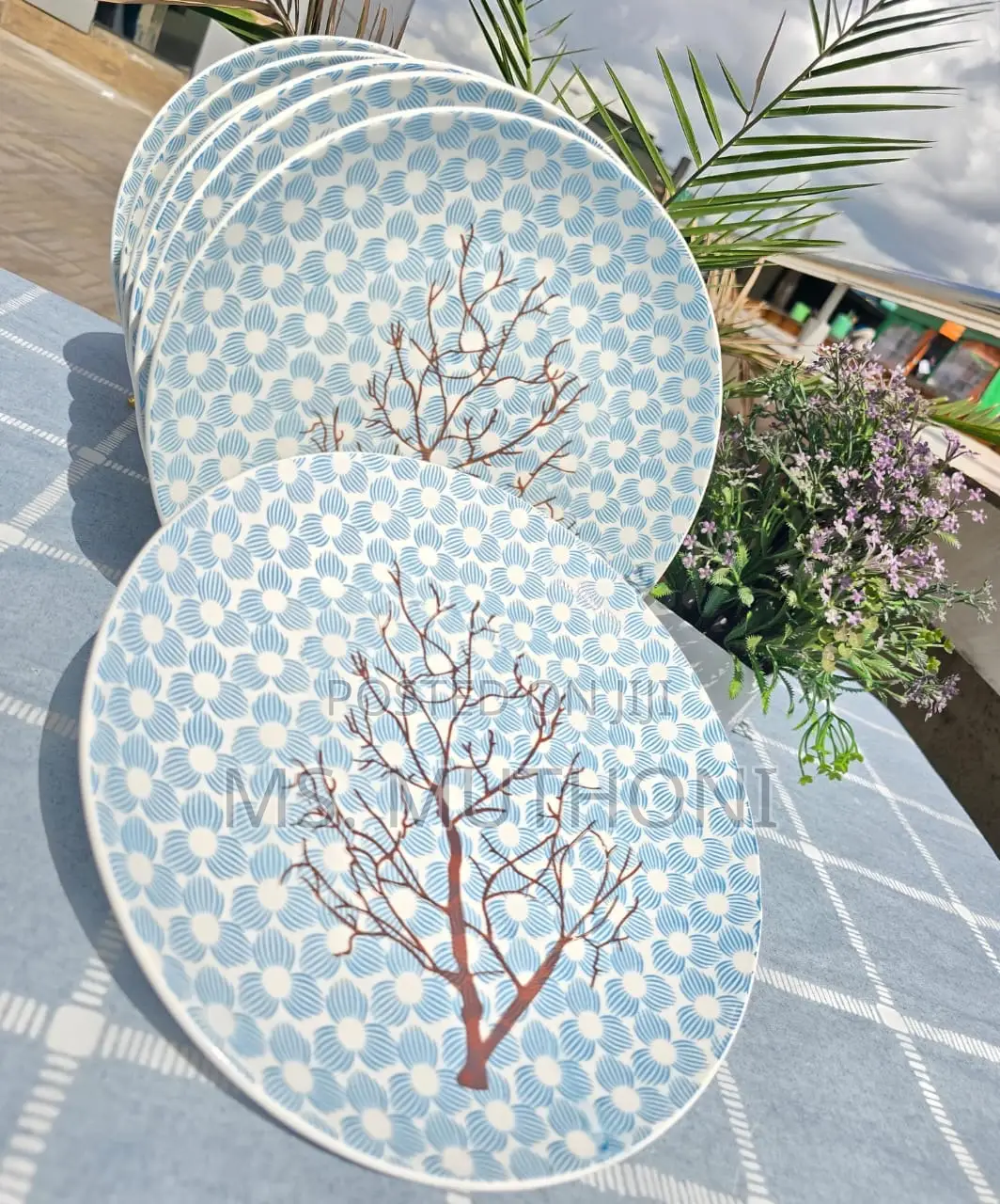 *6pcs Big Plate*