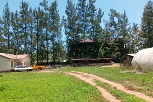 3bdrm Bungalow in White House, Kajulu for sale