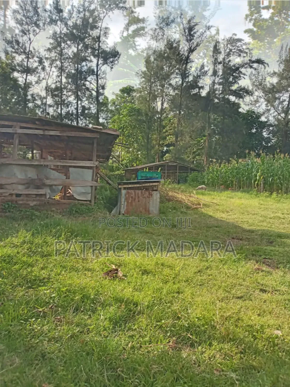 3bdrm Bungalow in White House, Kajulu for sale
