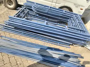 Stainless Scaffolding Ladders