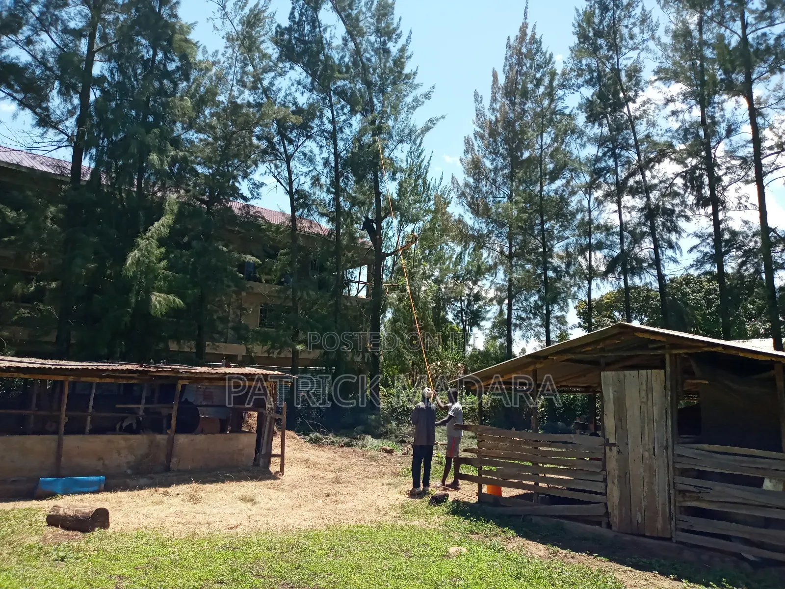 3bdrm Bungalow in White House, Kajulu for sale