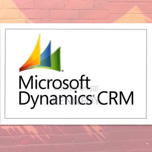 Microsoft Dynamics CRM - thumbnail 2