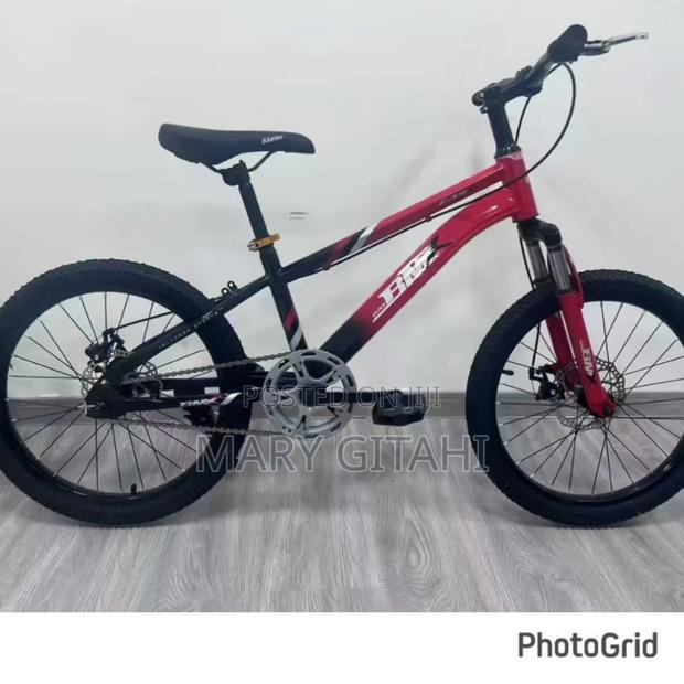 Red BMX Size 24 Bike - main view