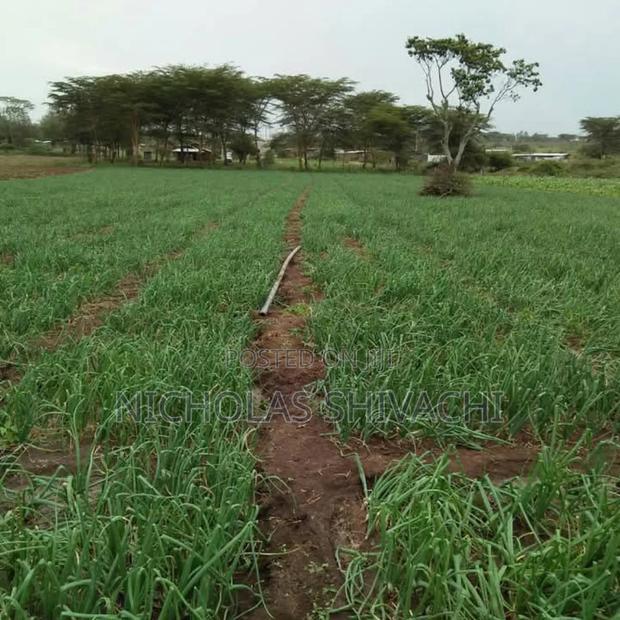Plots In Kitengela (Taji Gardens) - main view