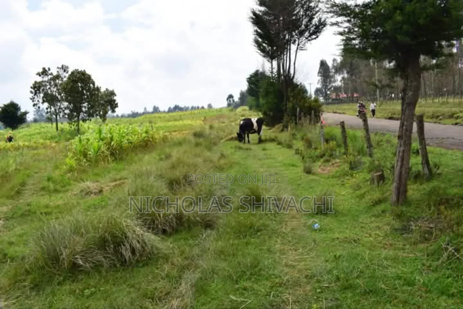 Plots In Kitengela (Taji Gardens)