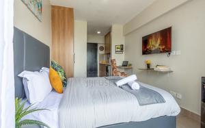 Fully Furnished Studio Apartment - main view