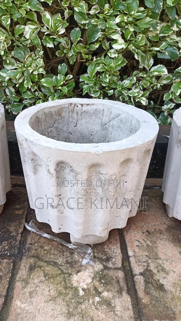 Flowers and Concrete Pots for Sell - thumbnail 3