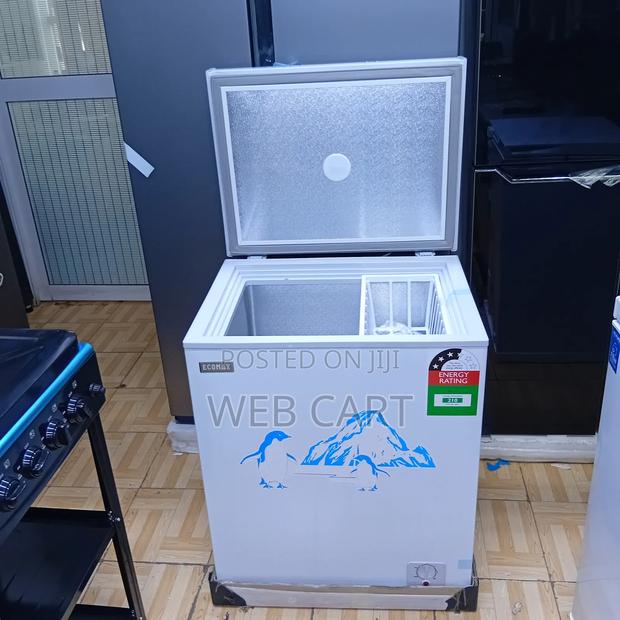 Ecomax 169l Deep Freezer – Durable Reliable Cold Storage