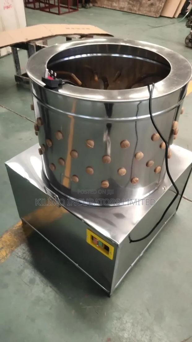 Feather  Plunker - thumbnail 4