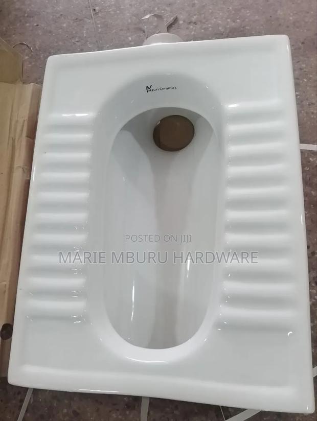 Asian Toilet