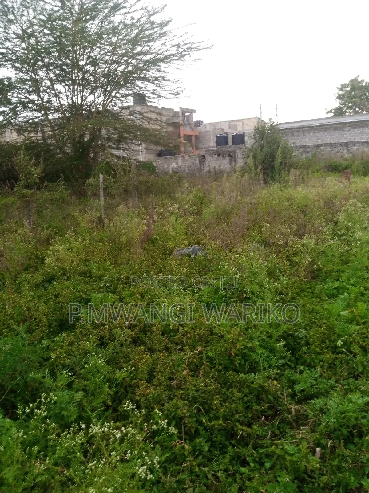 1/4 an Acre in Ongatarongai for Sale Near Tarmac Magadi Rd