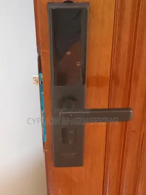 Biometric Locks With Online Passcode
